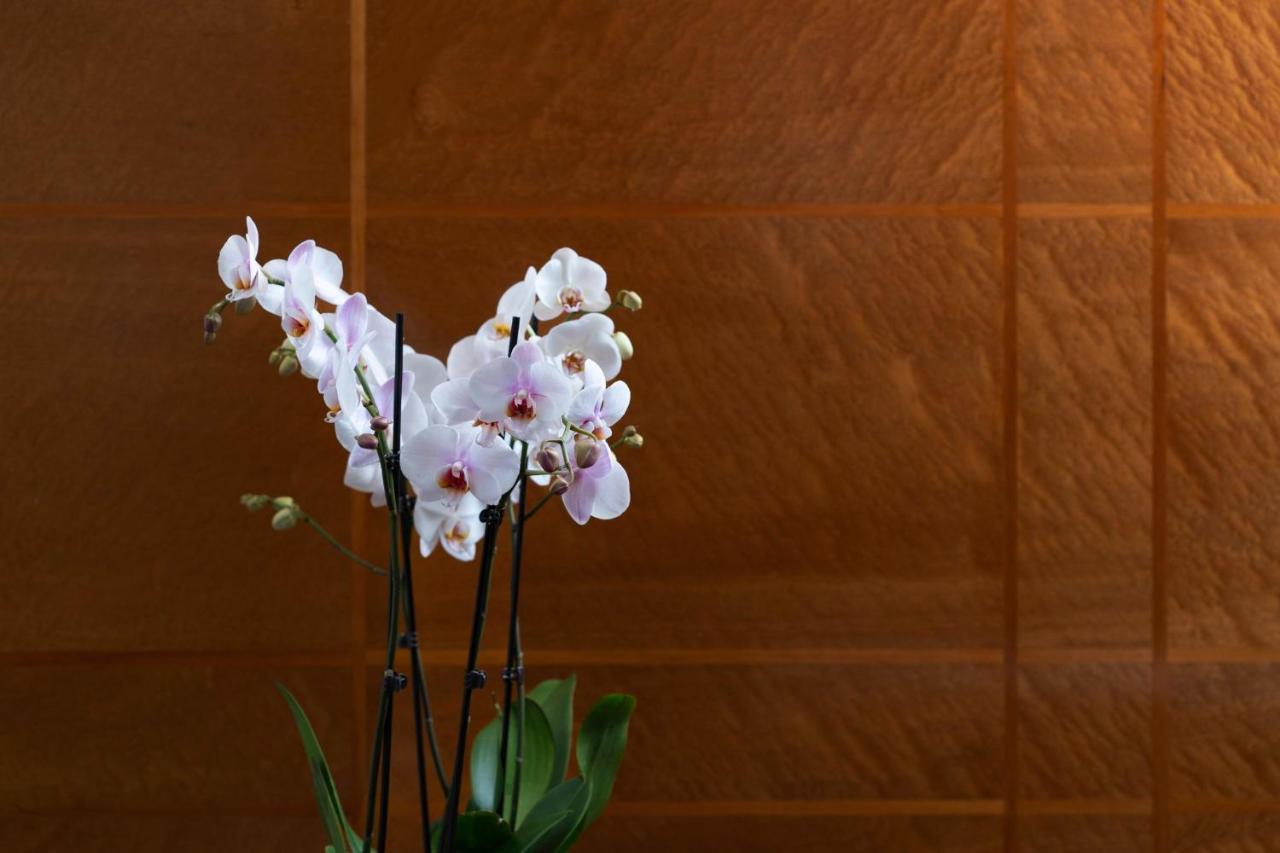 Como The Halkin London Kültér fotó